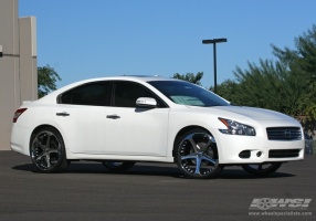 2009 Nissan Maxima with Giovanna Dalar-5 wheels