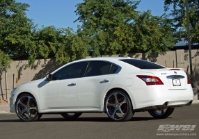 2009 Nissan Maxima with Giovanna Dalar-5 wheels