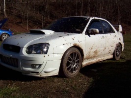 2004 Subaru Impreza with 17x8 Rota Torques wheels