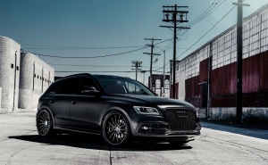 2015 Audi Q5 with 22x10 Avant Garde wheels
