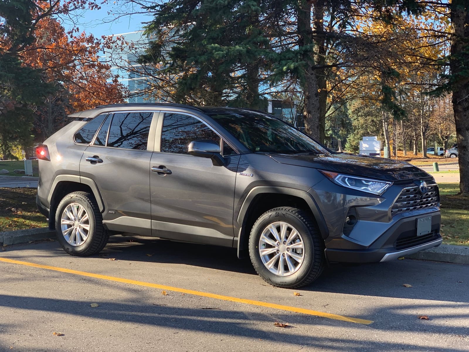 2019 Toyota RAV4