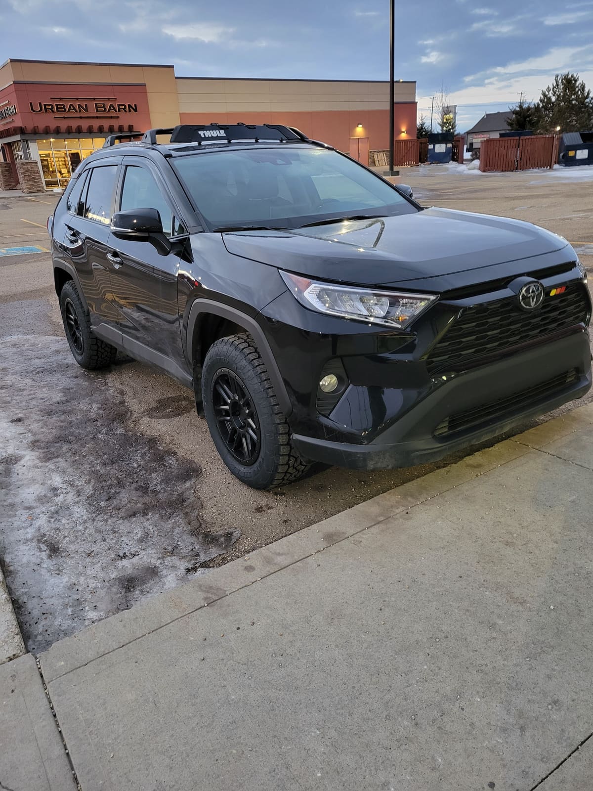 2019 Toyota RAV4 with 17x8 wheels