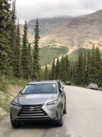 2016 Lexus NX 200t with 20x8.5 wheels