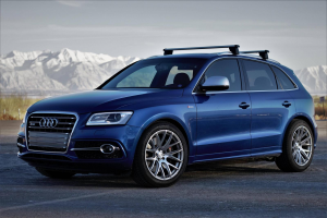 2016 Audi SQ5 with 20x10 wheels
