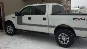 2009 Ford F-150 with 17x12.5 Offroad Billet wheels