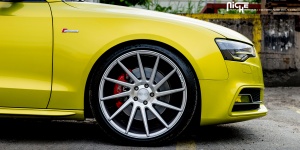 2015 Audi S5 with 20x10.5 Niche Surge - M112 wheels