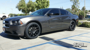 2013 Dodge Charger with 20x8.5 Niche Targa - M130 wheels